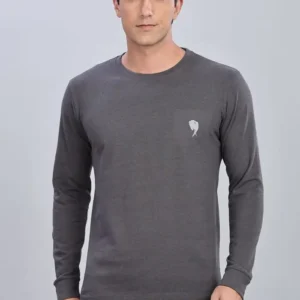 RFS009 || Grey || Round Neck Full Sleeve T-Shirt
